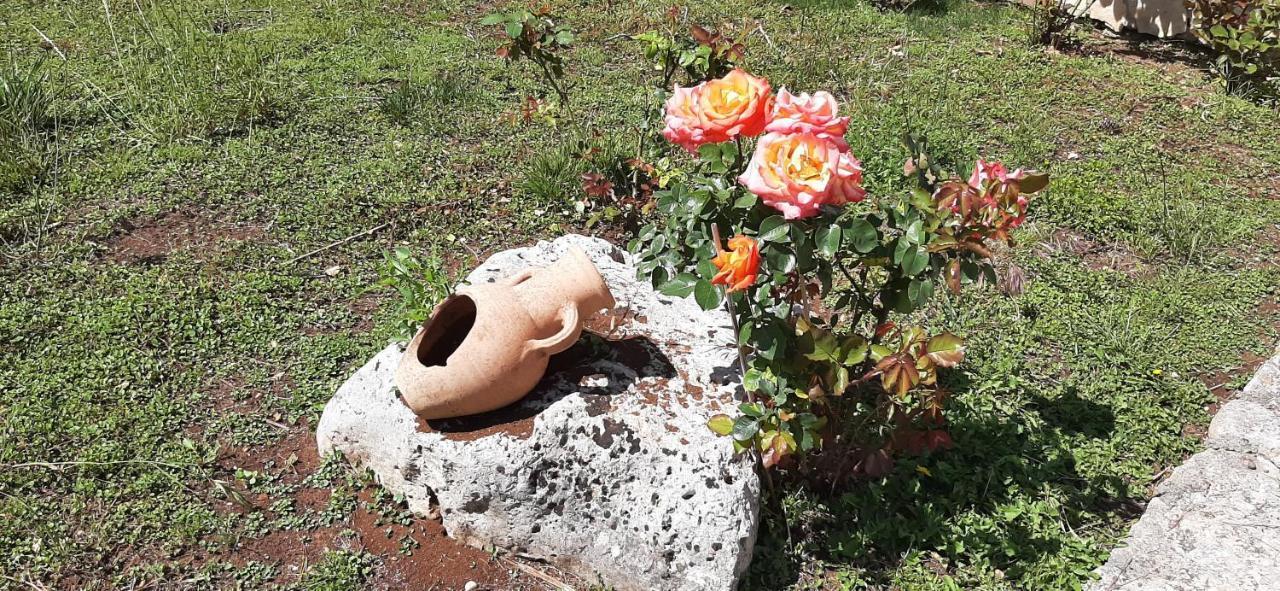 Masseria San Nicola B&B Torre Santa Susanna Εξωτερικό φωτογραφία