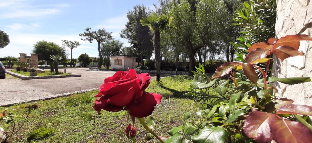 Masseria San Nicola B&B Torre Santa Susanna Εξωτερικό φωτογραφία