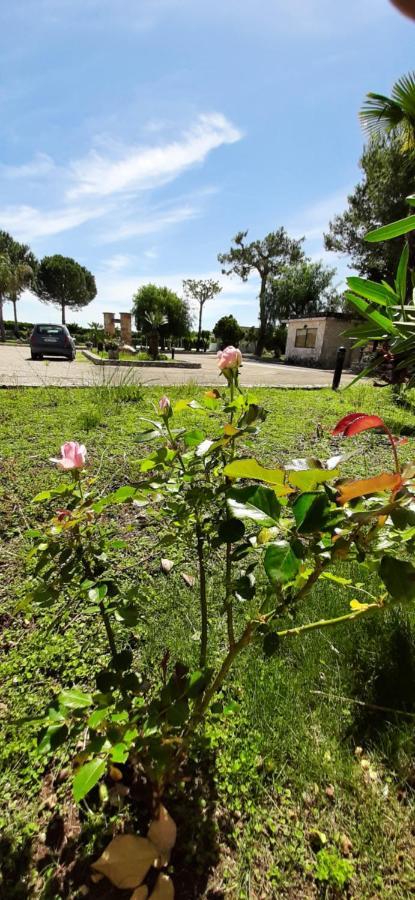 Masseria San Nicola B&B Torre Santa Susanna Εξωτερικό φωτογραφία
