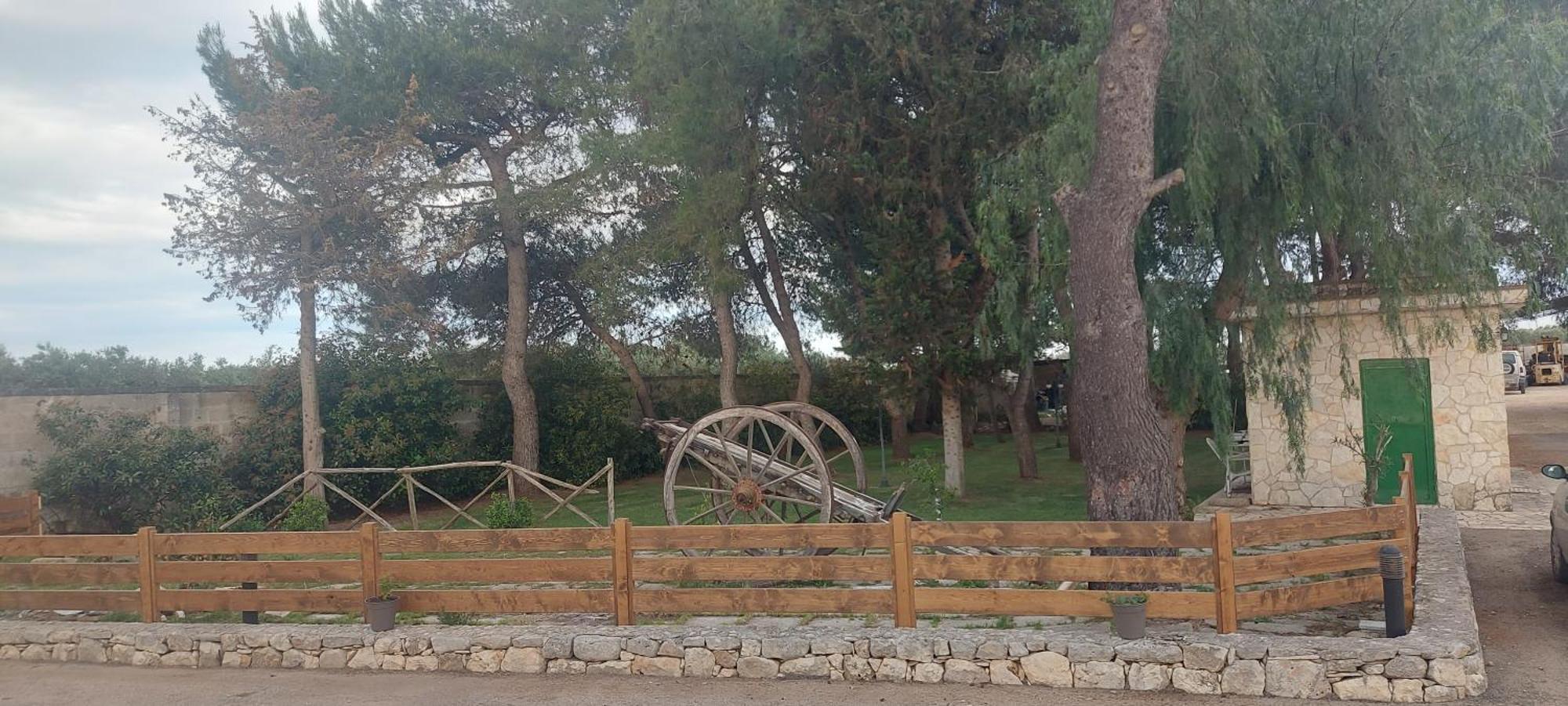 Masseria San Nicola B&B Torre Santa Susanna Εξωτερικό φωτογραφία